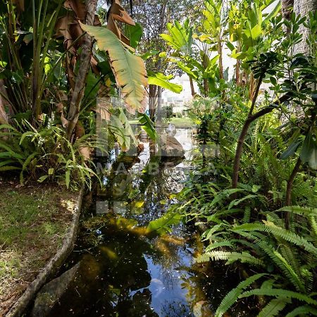 Lovely Apartment Marbella Center Garden Views 130 Екстериор снимка